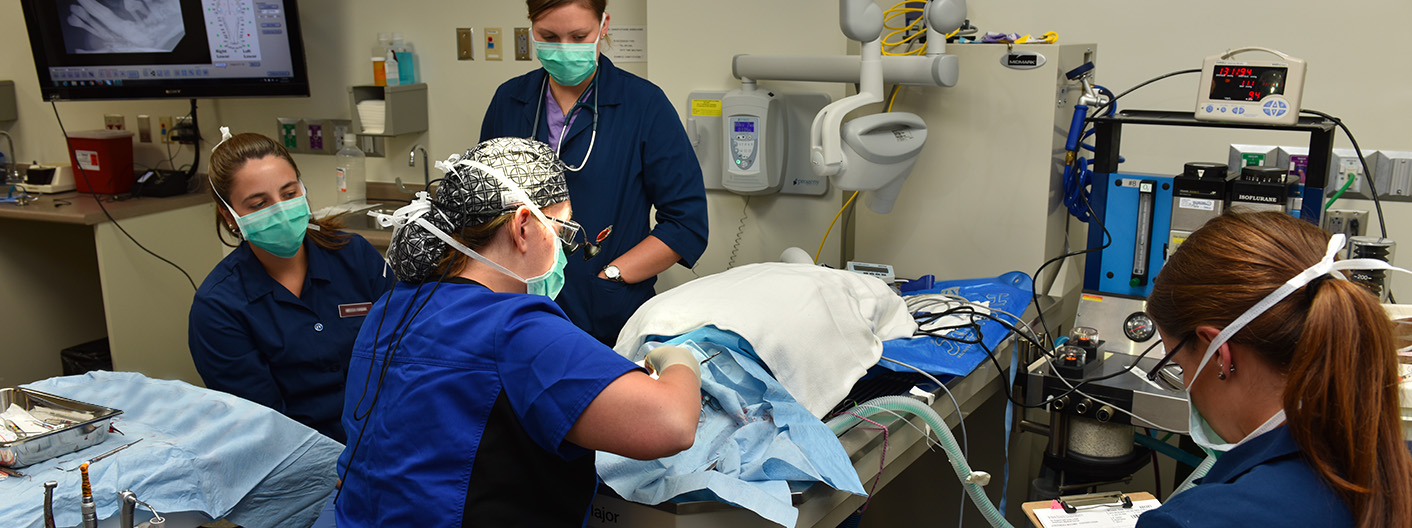 Dr. Mulherin performing dental surgery.