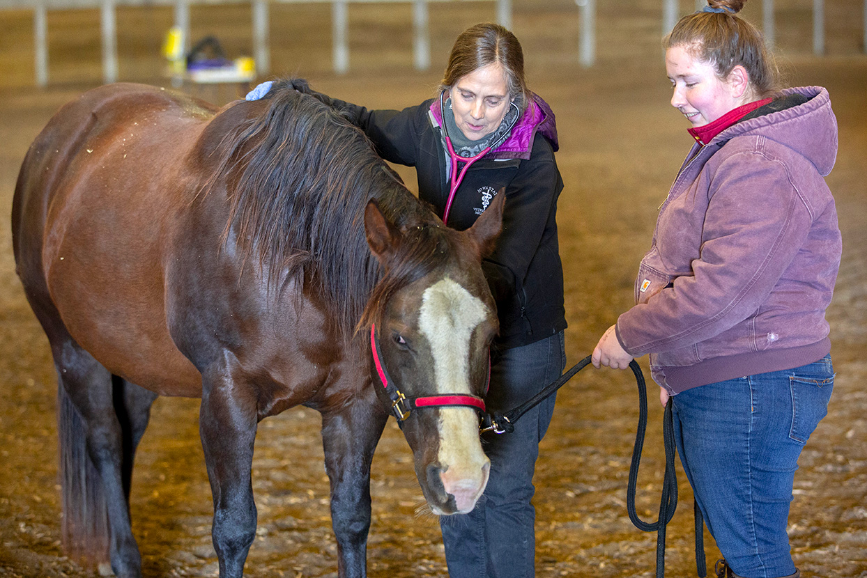 equine-field-services-20200114_horse_dental044-feature-small