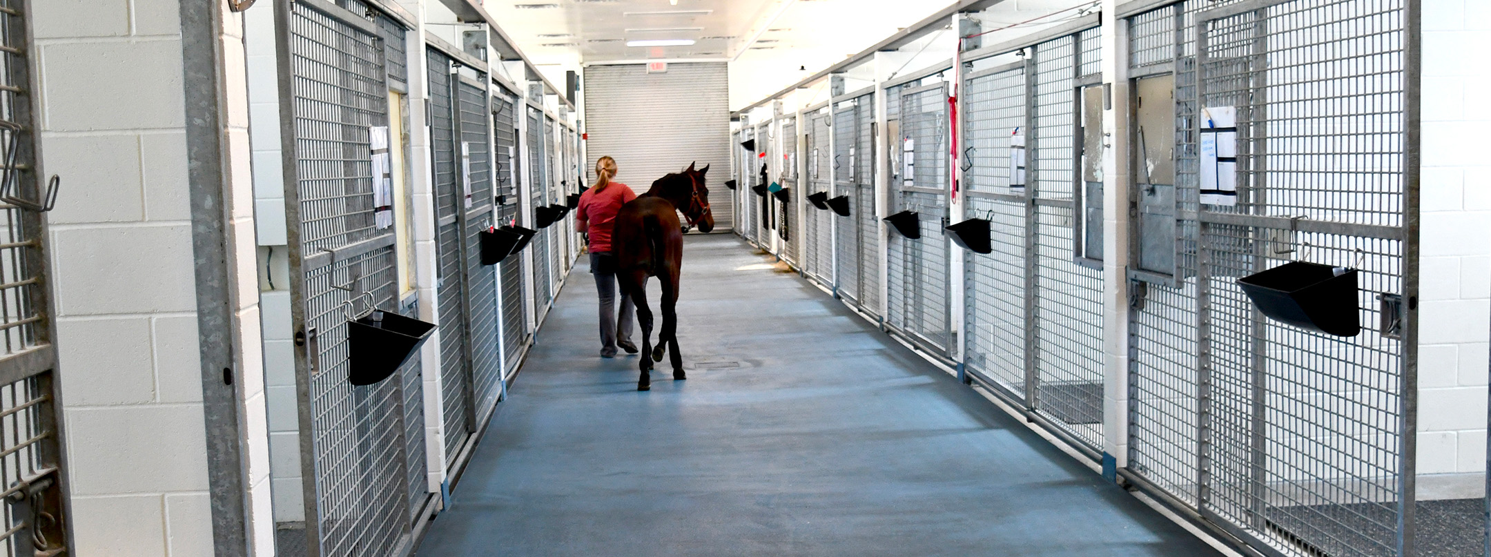 equine facilities