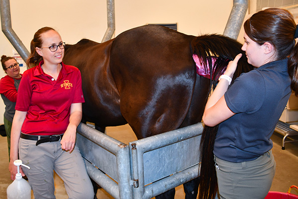 Dr. Beachler assisting veterinary student with equine exam