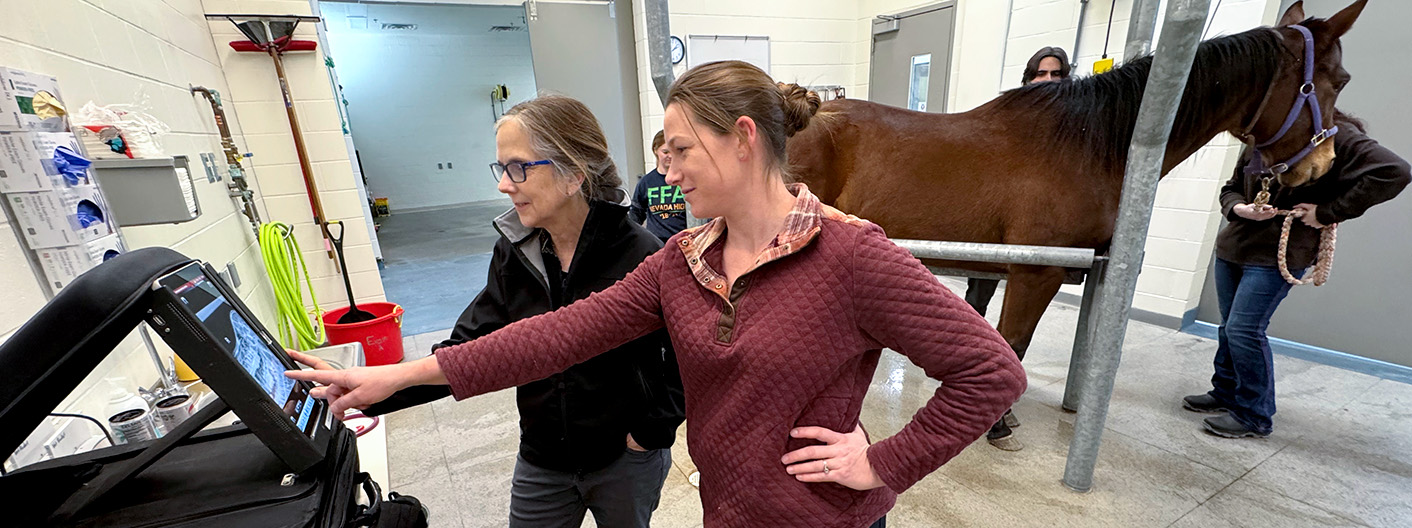 Equine Field Services clinicians reviewing ultrasound