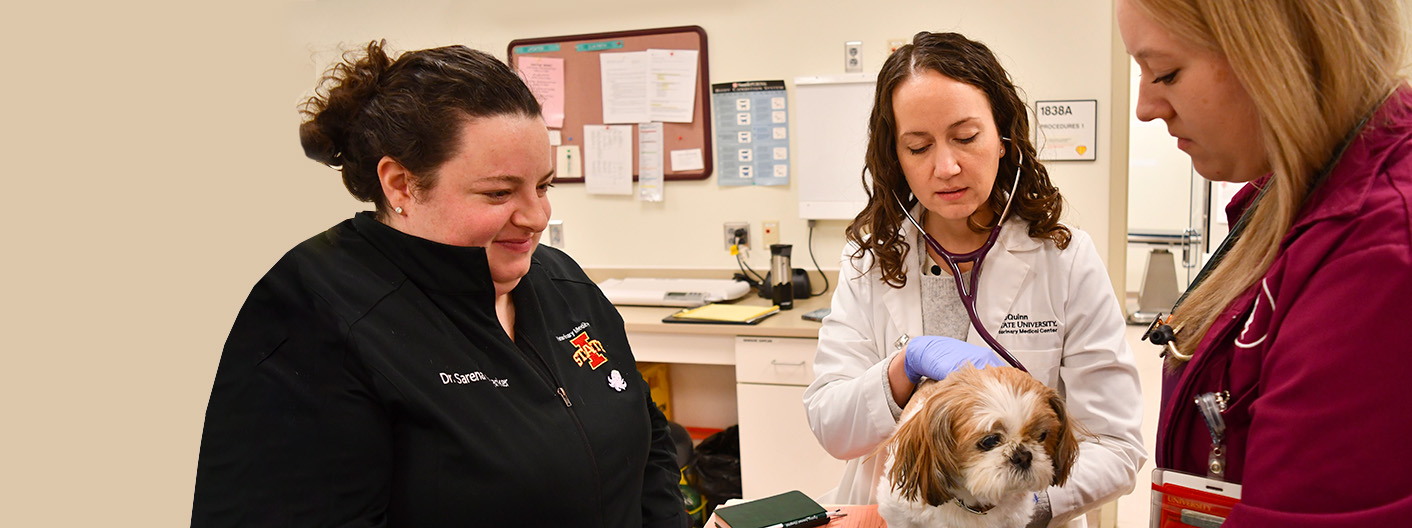Dr. McQuinn examining dog with veterinary technician and veterinary student