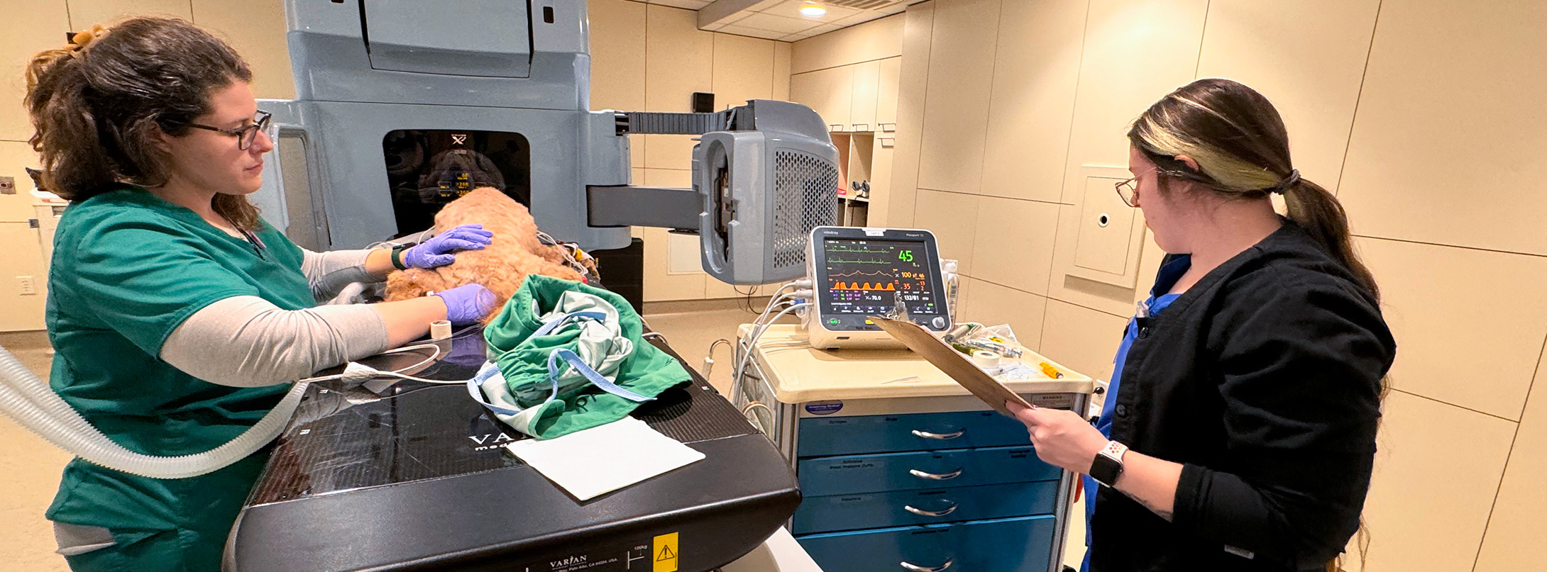veterinary technicians preparing canine patient for SRT treatment