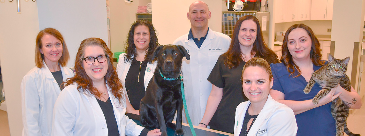Primary Care team group photo
