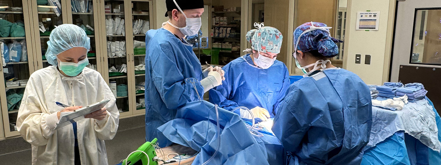 soft tissue surgery