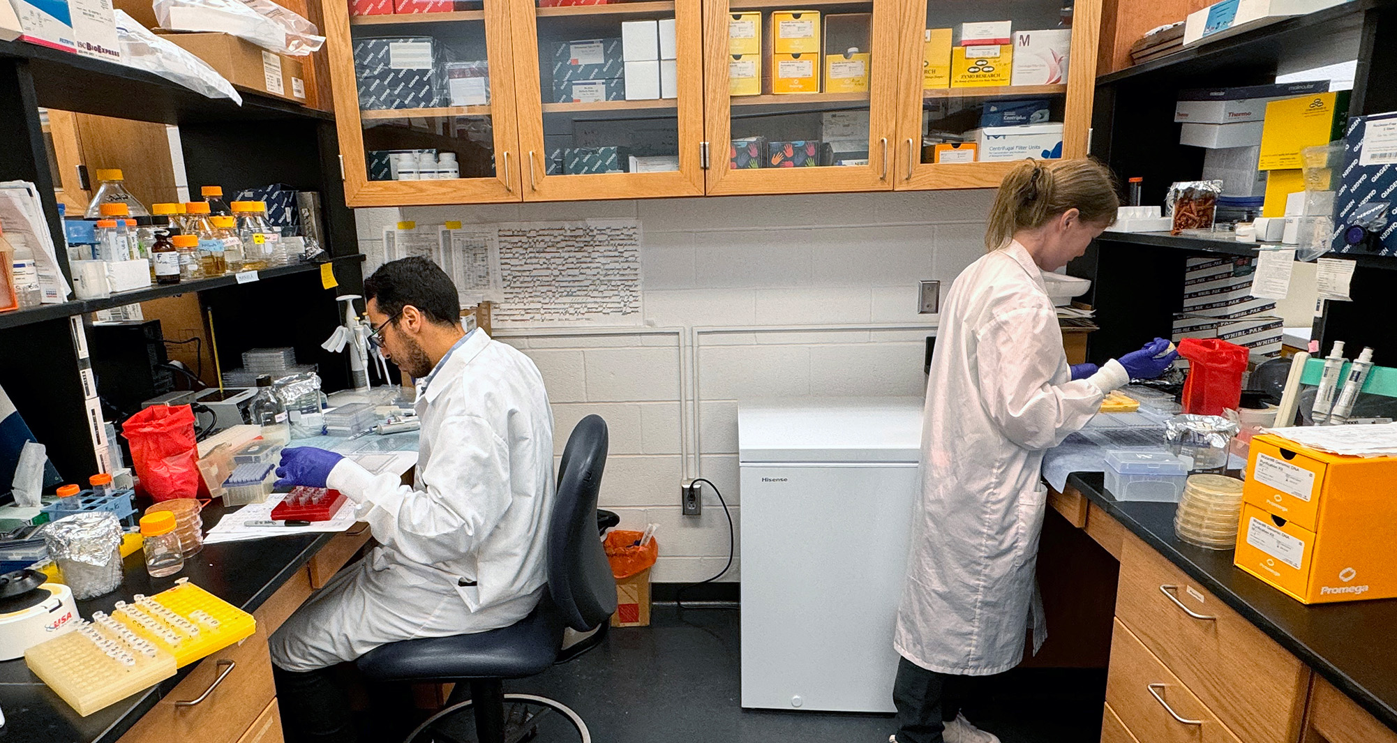 researchers working in lab