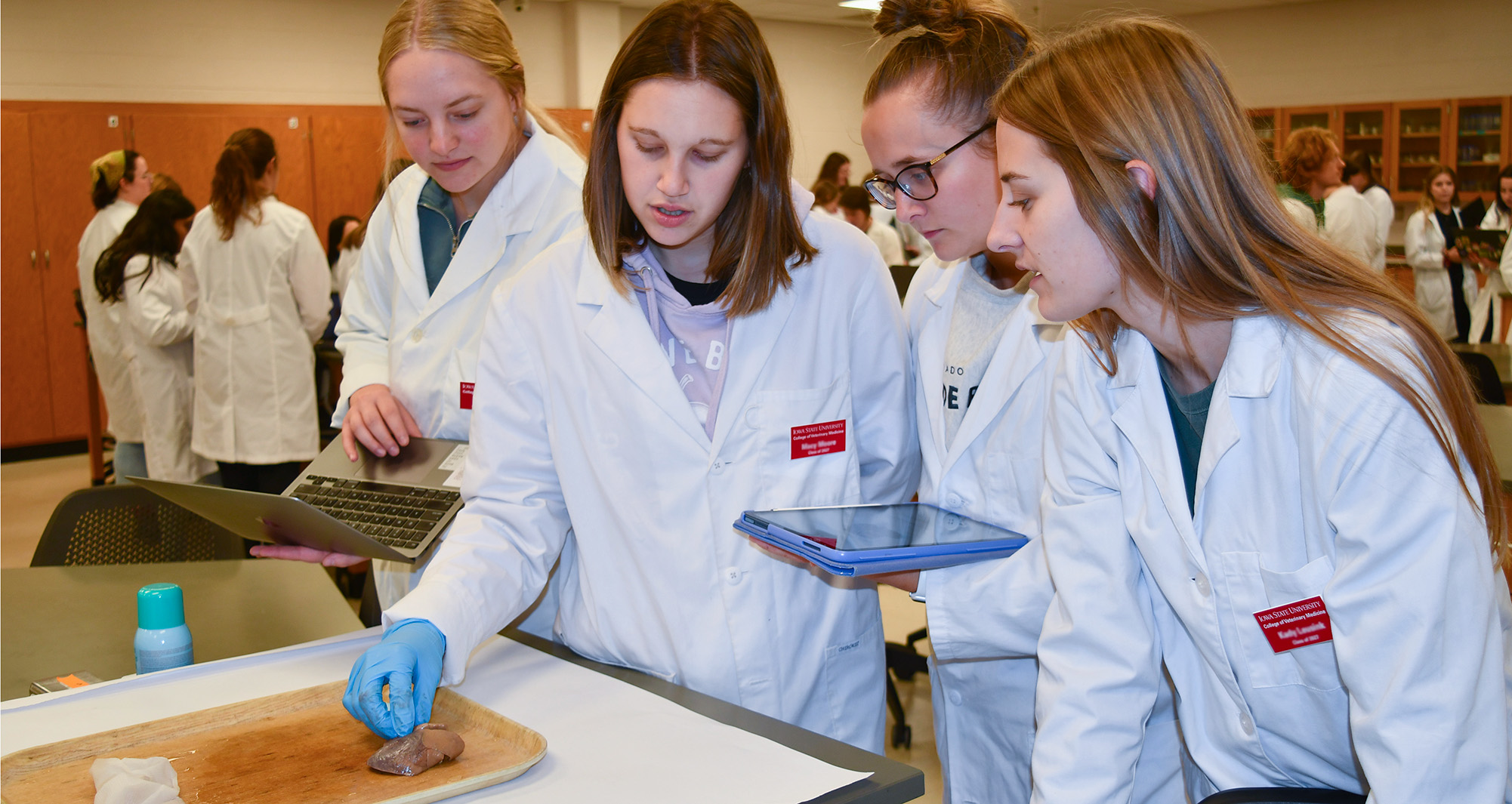 Pathology Student Lab - students examining specimen